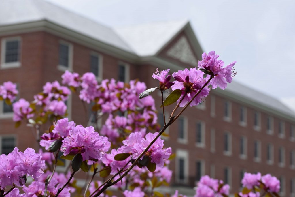 Alumni & Friend Honors  College of Natural Sciences