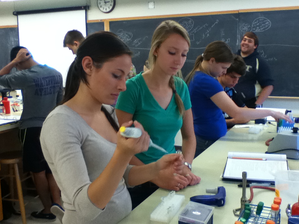 HON150 students working in the lab.