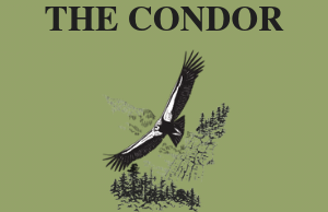 The Condor logo