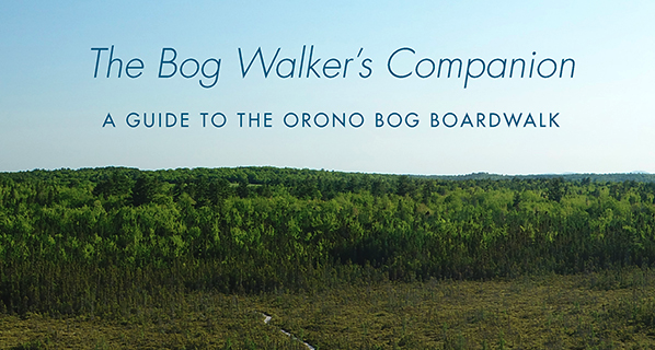 The Bog Walker's Companion: A Guide to the Orono Bog Boardwalk. Edited by Jerry R. Longcore, James E. Bird, and Robert Klose with a Preface by Bernd Heinrich