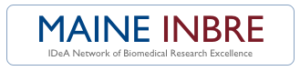 Maine INBRE Logo