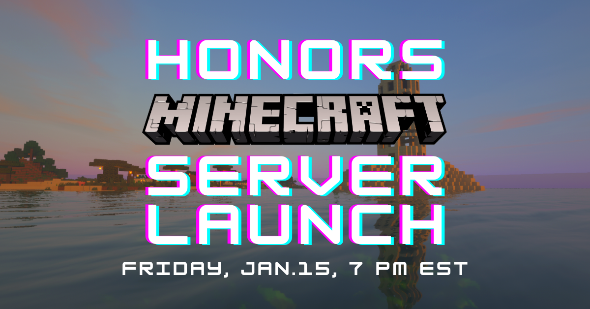 Minecraft servers holds