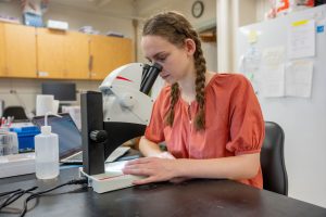 a student looking into a microscope
