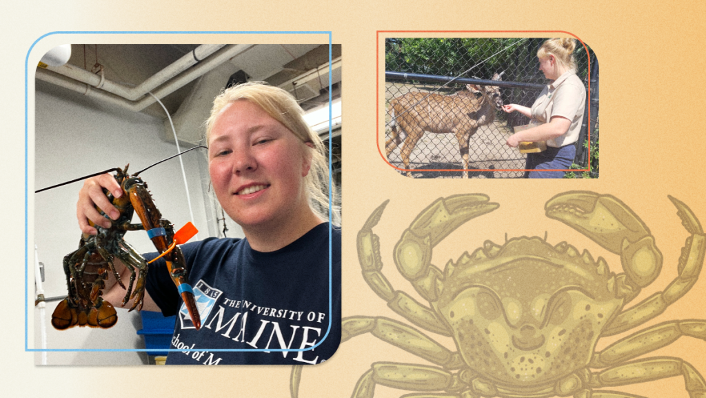 A composite image of Madelynn deBest